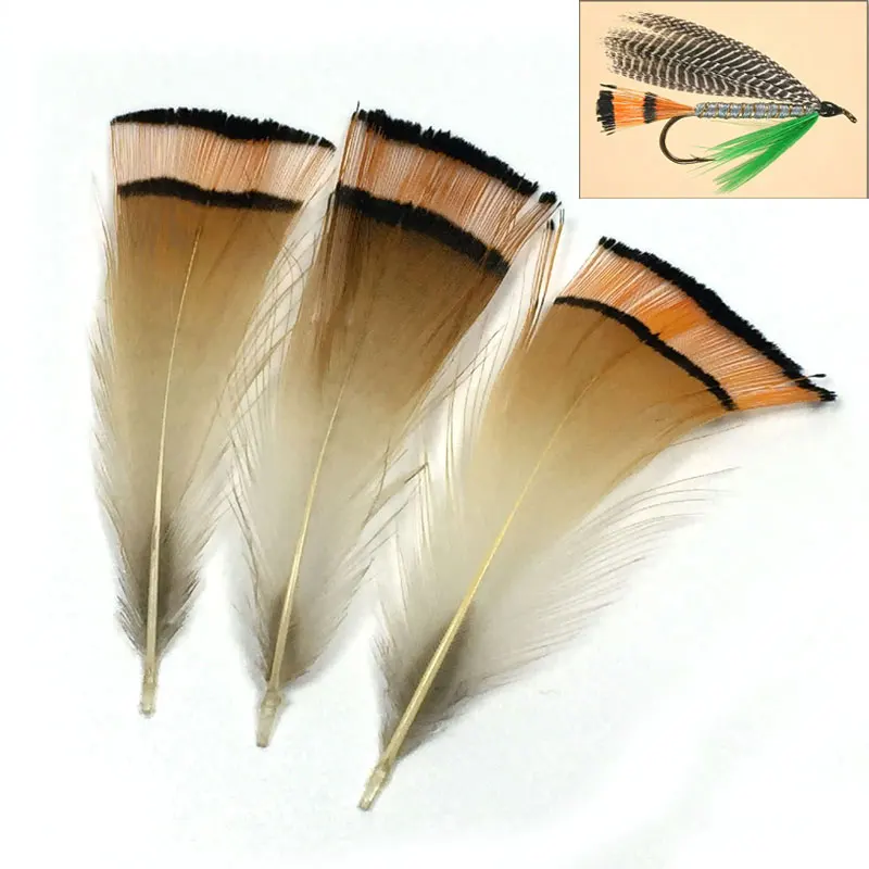 100PCS Natural Golden Pheasant Head Feather Fly Tying Materials Used for Tails on the Royal Coachman