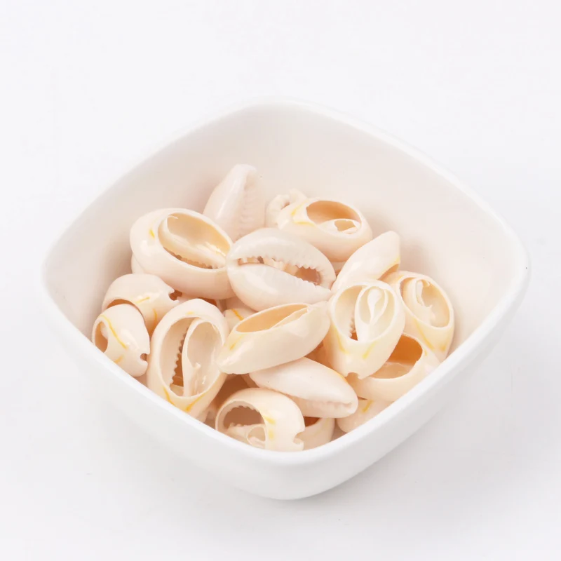 Creamy White Natural Sea Shell Loose Beads Accessories for Home Decoration Craft10-23mm 50pcs  TRS0081