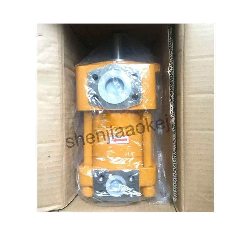 NT3-G20F Cast iron pump Low noise internal gear pump without motor Electric Hydraulic gear pump 32Mpa 1pc