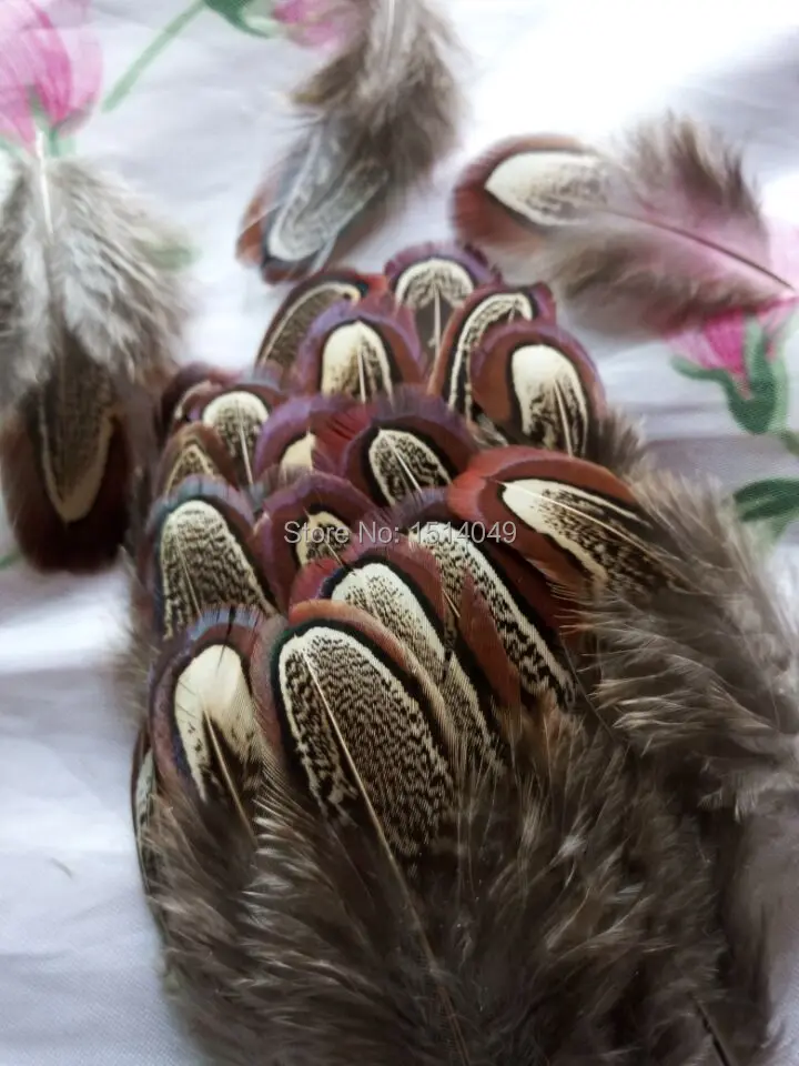 wholesale beatiful  20pcs high quality natural pheasant feathers 3-6cm / 1.5-2.5inch  decorative  diy