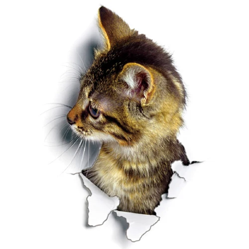 Leuke katten muursticker Hole View Levendige honden badkamer 3D toiletstickers voor huisdecoratie dieren stickers zelfklevende poster