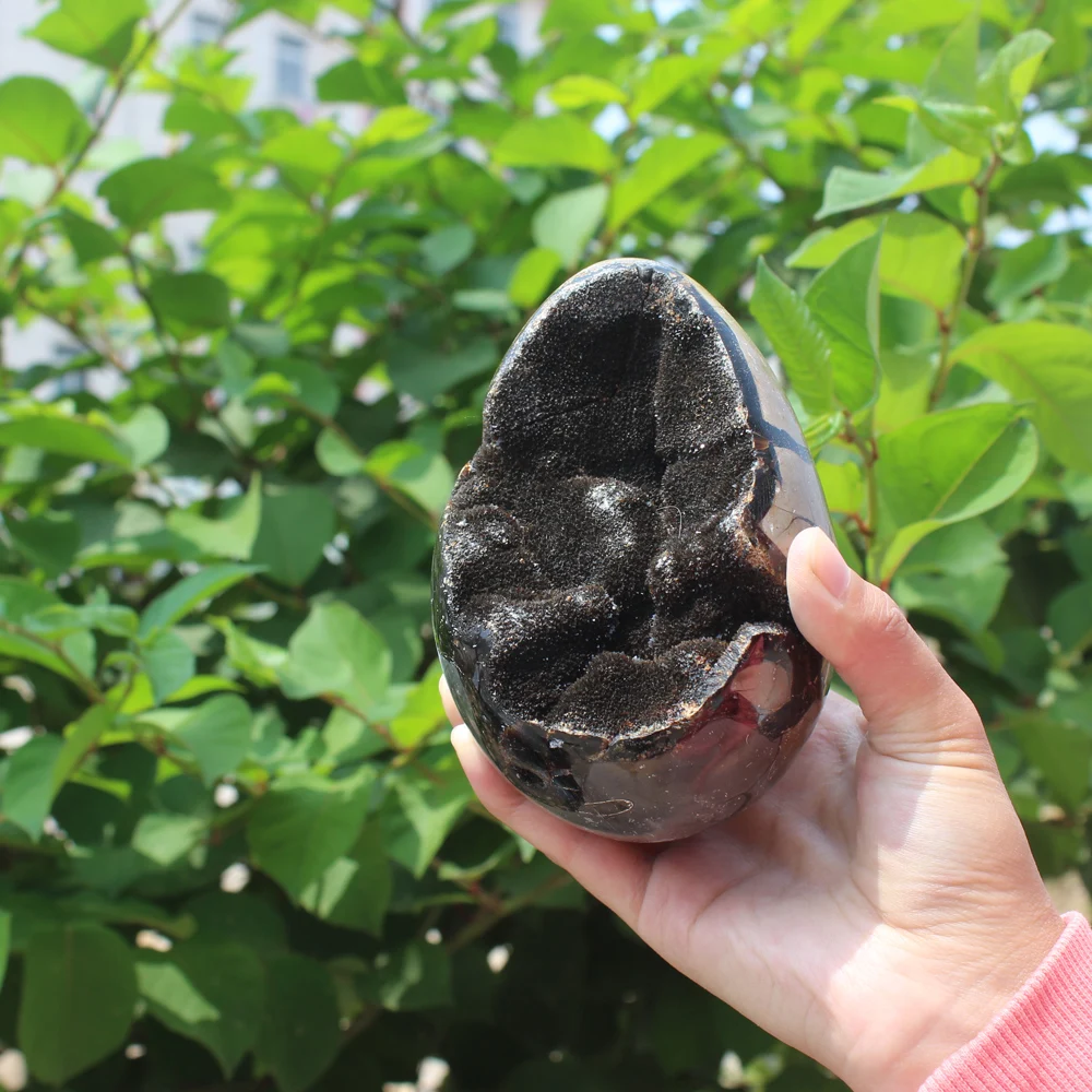 

1100g Natural curvature of the furnishing articles Turtle grain stone egg Ball Septarian nodule Crystal Healing quartz