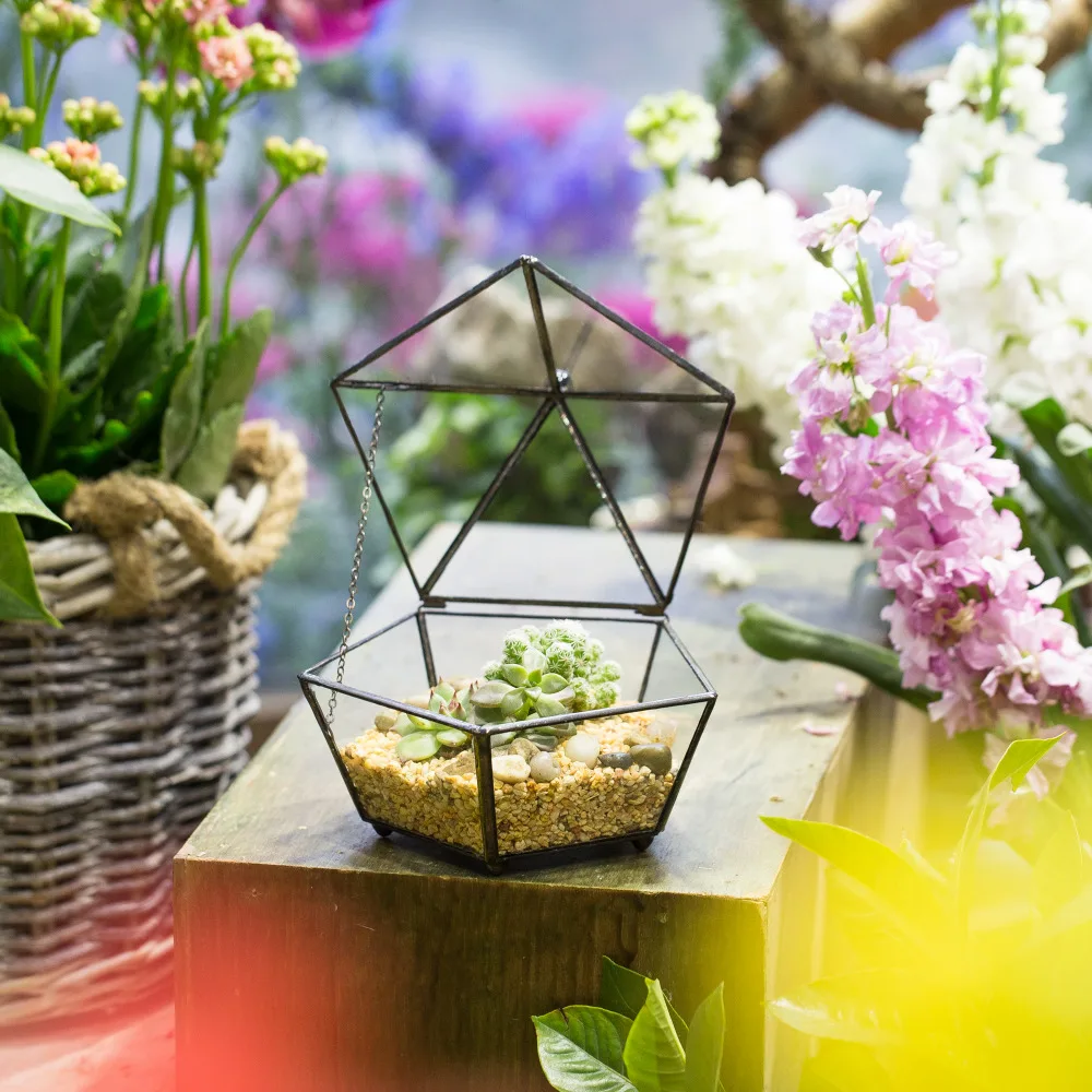 

Small Modern Clear Jewelry Box Pentagon Shape Glass Geometric Terrarium Pot Wedding Decor Planter DIY for Plant Succulent Flower