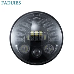 FADUIES 7