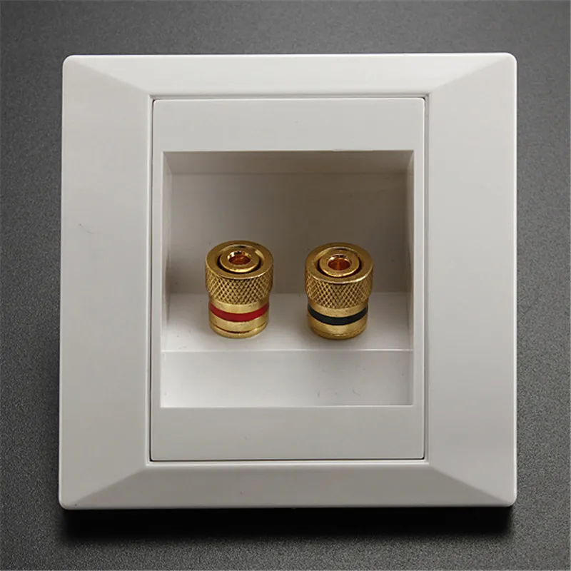 2 Binding Post Banana Plug Gold Plated Audio Jacks Wall Plate Panel Two Speakers Interface 86mm x 86mm