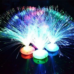 1PC Colorful LED Fiber Optic Light Party Novelty Lamp Night Luminous Light Up Toy Home Wedding Decor Adults Kids Flashing Toys