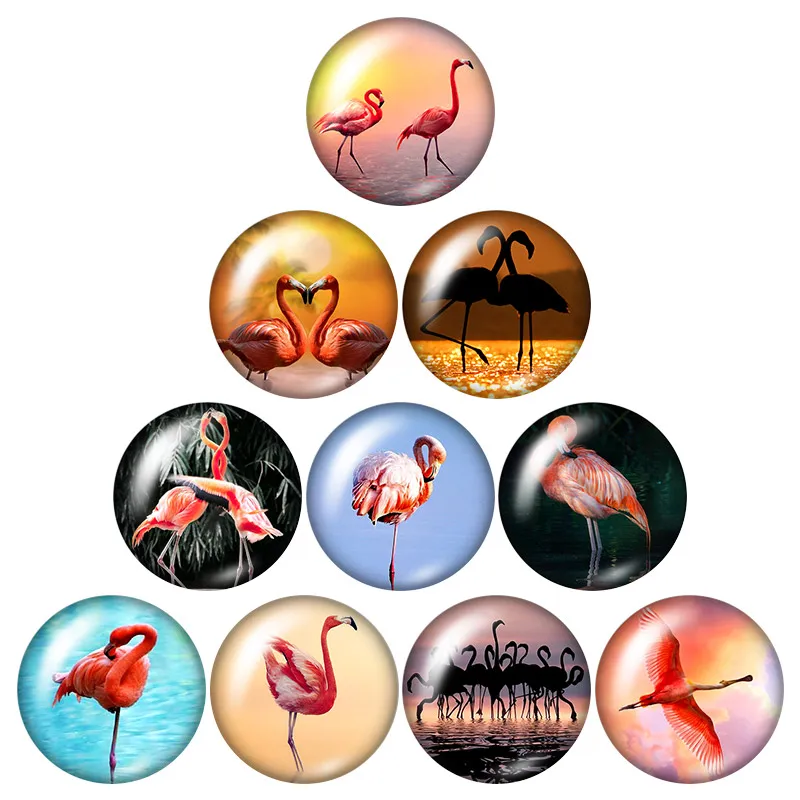 New Lovely animals Flamingo Pig Duck 10pcs mixed 12mm/16mm/18mm/25mm Round photo glass cabochon demo flat back Making findings