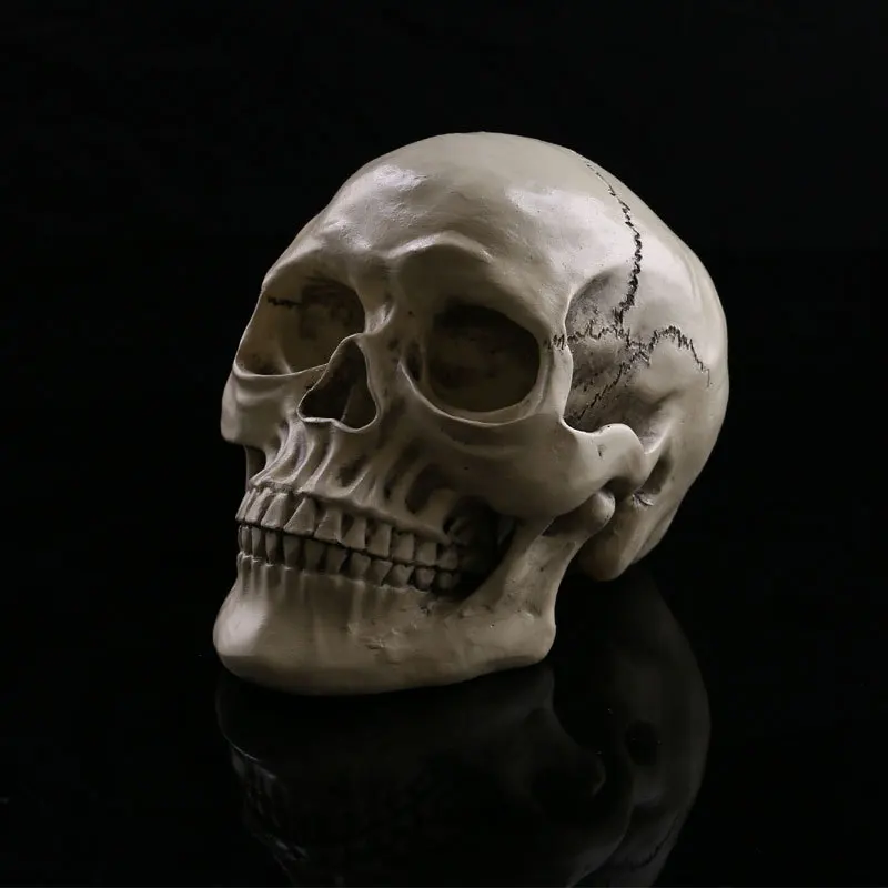 Halloween Decoration Simulation 1:1 Human Skull Terrorist Resin Skulls Ghost Cranium Skull Heads Crossbones Skull