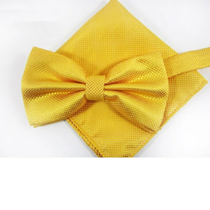 2019 Bow Tie Set Pocket square Bowtie Butterfly Party Gift Handkerchief Wedding Business gravata