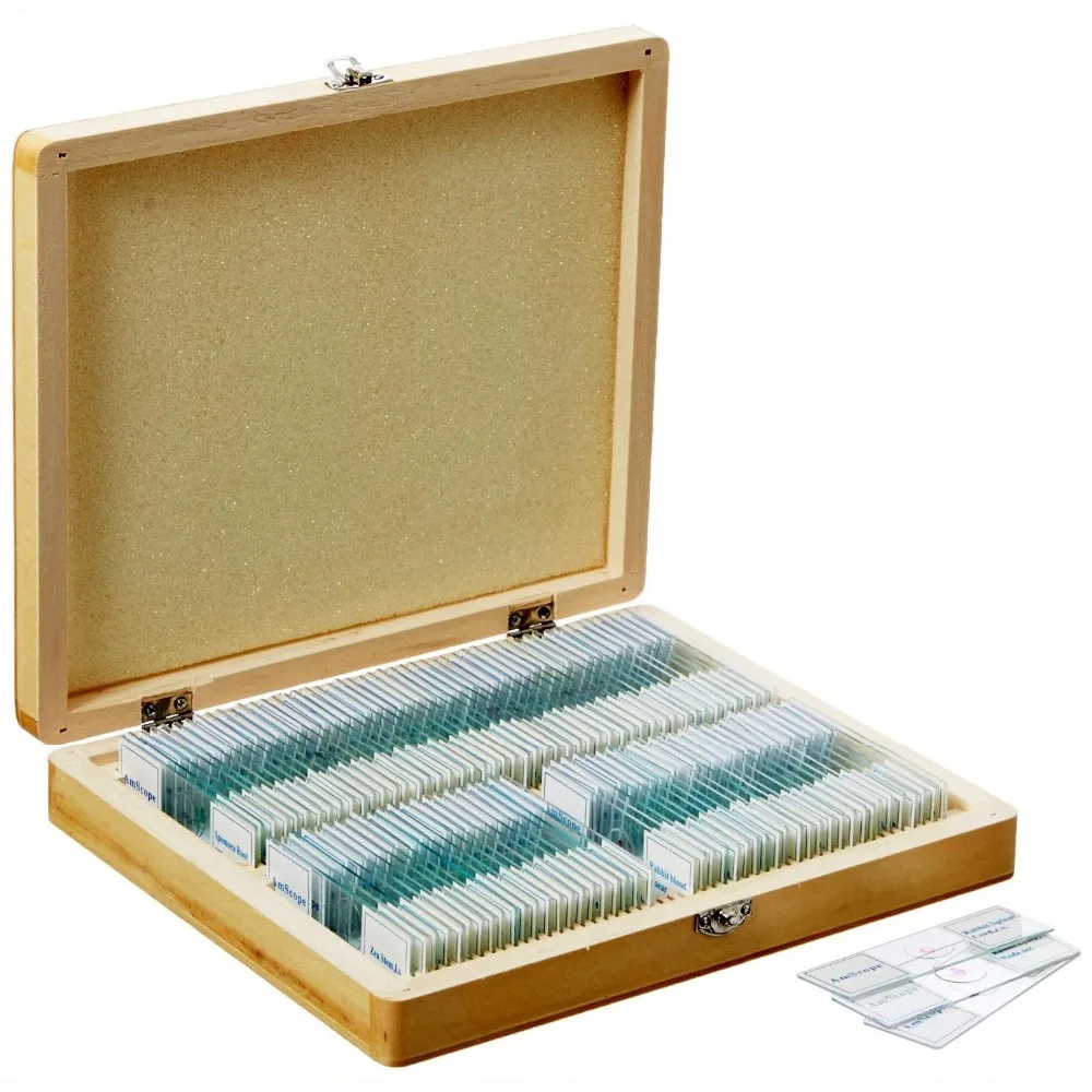 AmScope 100 Homeschool Biology Prepared Microscope Slides - Set E  PS100E