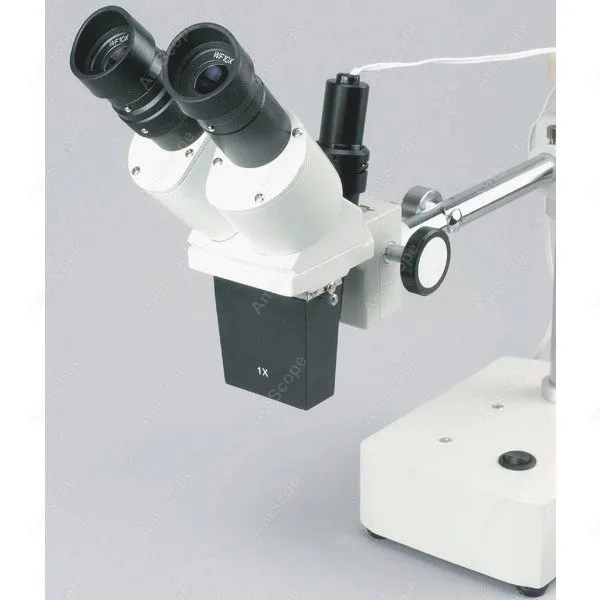 Microscopio Stereo binoculare-AmScope fornisce microscopio Stereo con braccio binoculare 10X-20X + luce