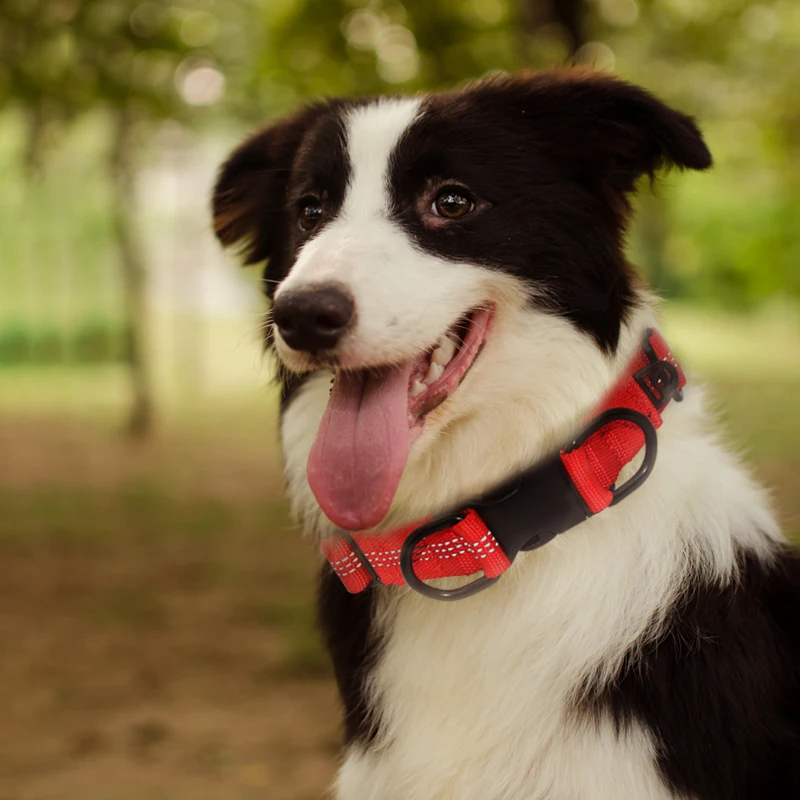 Nylon Dog Collar For Medium Large Dogs 3M Reflective Padded buldog Dog Collars Durable Safe Big Dog Collar Pets Accessories