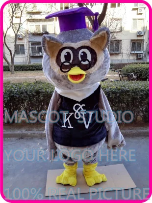 mascot  plush doctor owl mascot costume custom cartoon character cosplay fancy dress mascotte theme