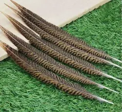 Wholesale! 100pcs/lot Perfect 12-14 inch/30-35 cm Natural Golden Pheasant Tail Feathers for home /carnival/wedding decoration