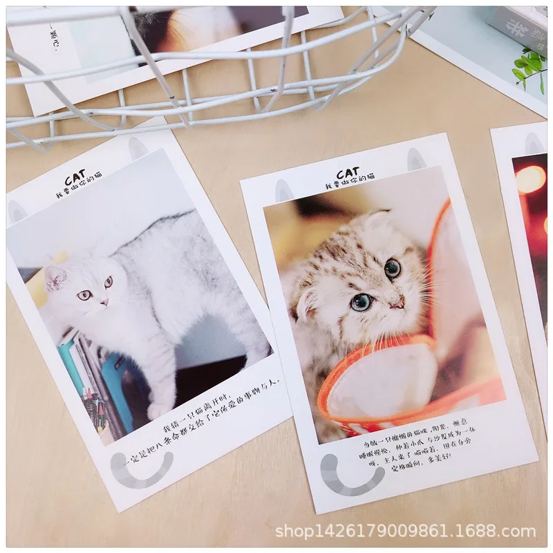 36 Sheets/Set Want To Be Your Cat Style Postcard Cute Cat Greeting Message Cards Christmas and New Year Gifts