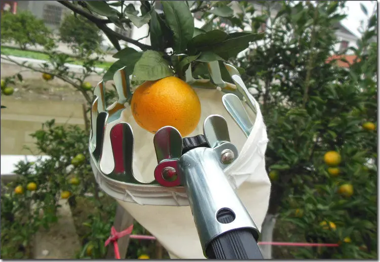 1PC Apple Mango Orange Fruit Picker Irony Picking Device Garden Tool