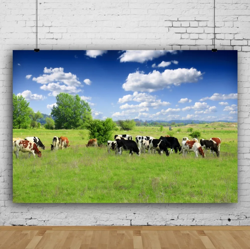 Laeacco-خلفية للتصوير الفوتوغرافي ، خلفية خضراء للمزرعة ، المراعي ، بقرة ، السماء الزرقاء ، غائمة ، ذات المناظر الخلابة ، لالتقاط الصور ، استودي...