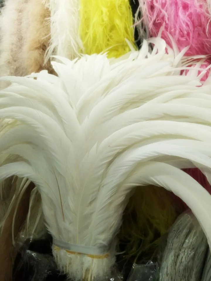 

Wholesale perfect 500pcs high quality natural pure white Rooster tail feathers 14-16inch/35-40cm Decorative diy