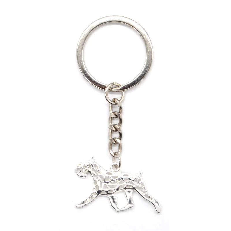 Women Hollow Pet Dog Key Chains Alloy Standard Schnauzer Movement Key Chains