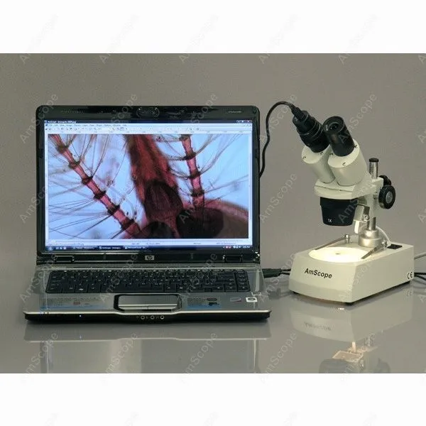 Student Binocular Stereo Microscope--AmScope Supplies 40X-80X Student Binocular Stereo Microscope with Dual Lights