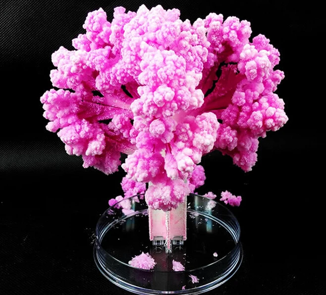 

2019 14x11cm Pink Big Grow Paper Japanese Magic Sakura Tree Magically Growing Trees Kit Desktop Cherry Blossom Christmas 2PCS