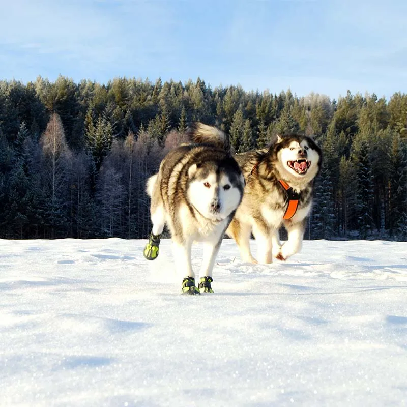 Truelove Wasserdicht Hund Schuhe Für Hunde Winter Sommer Regen Schnee Hund Stiefel Turnschuhe Schuhe Für Große Hunde Husky Outdoor Buty dla Psa