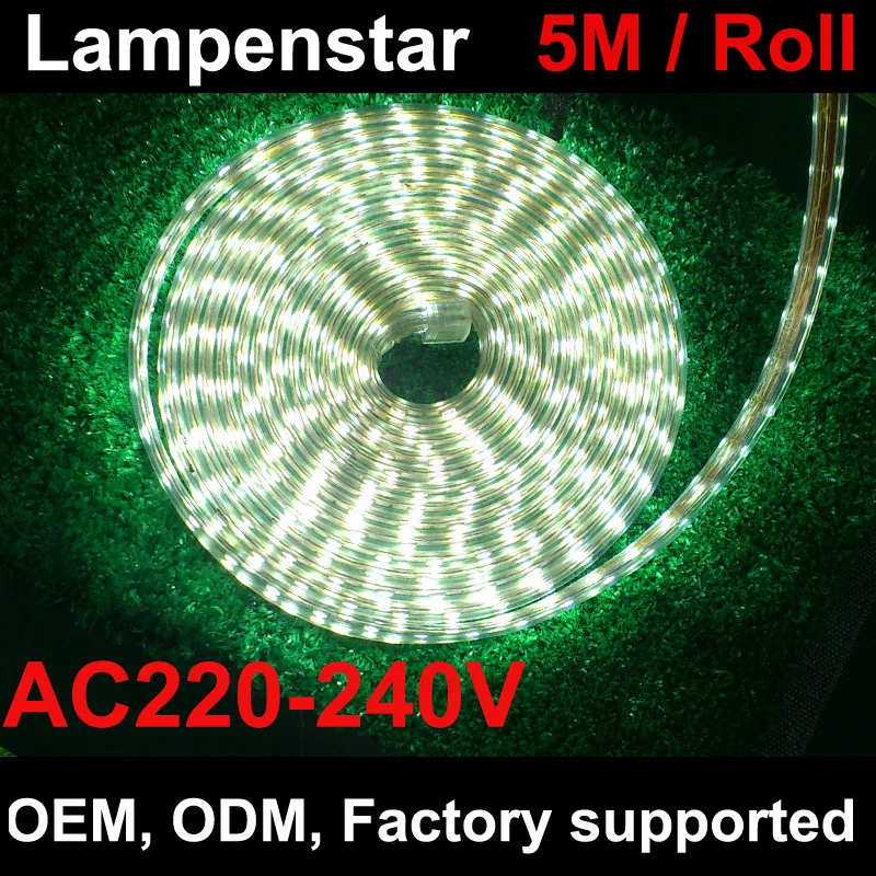 5M strip led 5050 220v+Power plug(free),white/warm white/green/blue/red/,60leds/m 300led waterproof IP65 led Stripslampenstar