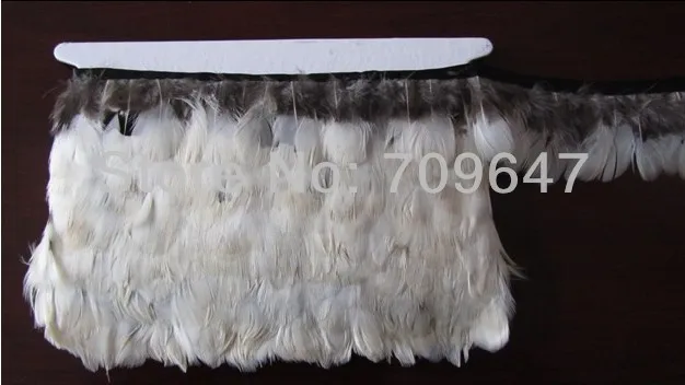 Hot!Veren!10Meters/Lot Height5-6cm Natural WHITE Round Lady Amherst Pheasant Plumage Feather Trim Fringe