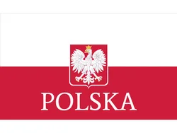 90*150cm/60*90cm/40*60cm/15*21cm 3X5ft Poland Polyester National Flag Super-Poly Eagle For Home Decorations