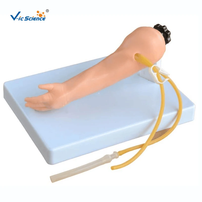 

Medical Education Advanced infant venipuncture arm Model