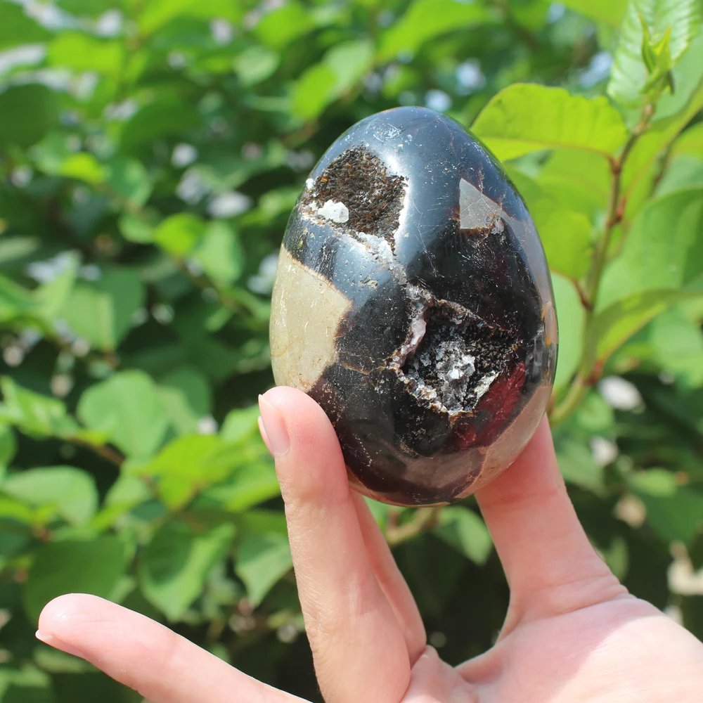 

360g Natural curvature of the furnishing articles Turtle grain stone egg Ball Septarian nodule Crystal Healing quartz 03