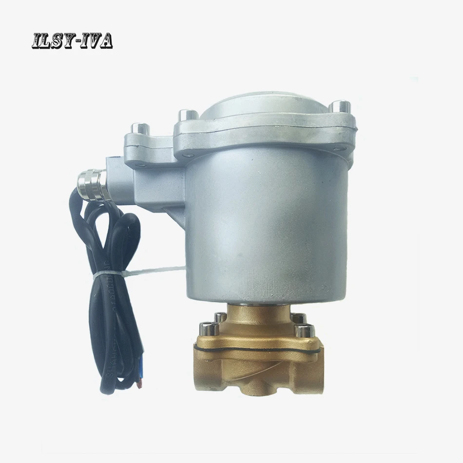 AC110V/AC220V Explosion proof type stainless steel electromagnetic valve for micro methane combustion machine