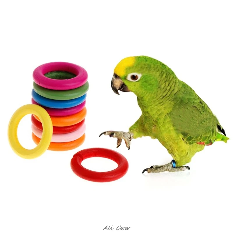 10 Pcs/Set Wooden Ring Parrot Toys Bite Chew Play Natural Colorful Rings Decoration Birds Parakeet Toy DIY Accessories