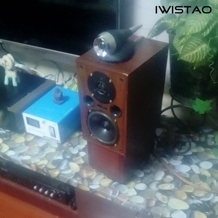 IWISTAO HIFI Run Loa 1 Cặp 30 W 6 ohms NdFeB Nam Châm Cao Tần Số Bồi Thường cho Đầy Đủ Loa