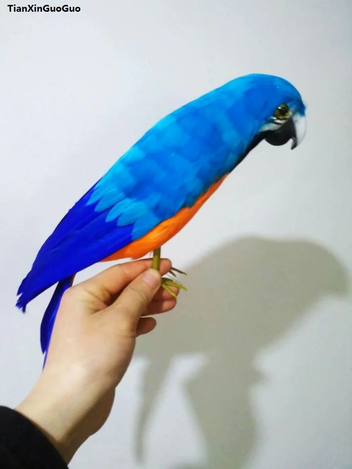 

simulation parrot large 42cm colourful feathers bird hard modelprop,home garden decoration gift s1345