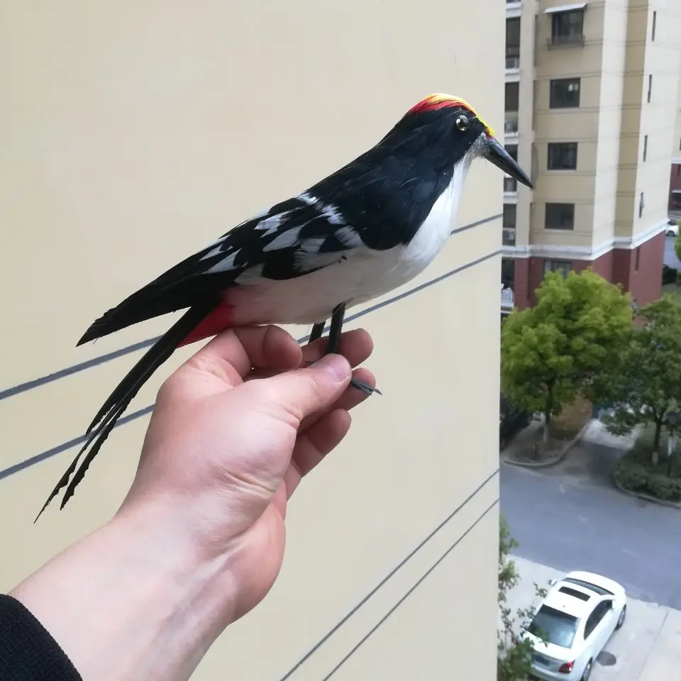 Plumas de pájaro de la vida real, modelo de pájaro carpintero grande de 30cm, peacker de madera, decoración de jardín, utilería de filmación, juguete de regalo h1450