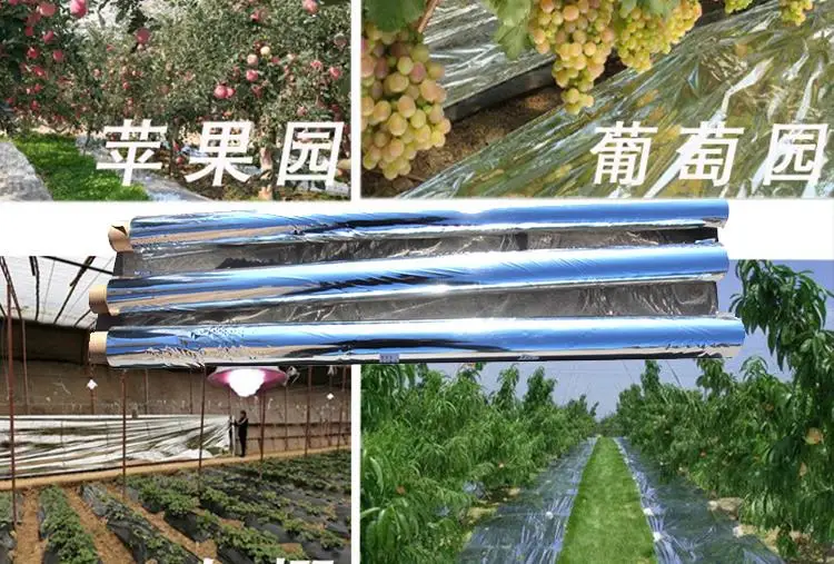 Agricultural Double Sides Silver PET Reflective Mylar Film Greenhouses Fruit Trees Apple Grapes, Increasing Temperature, Light