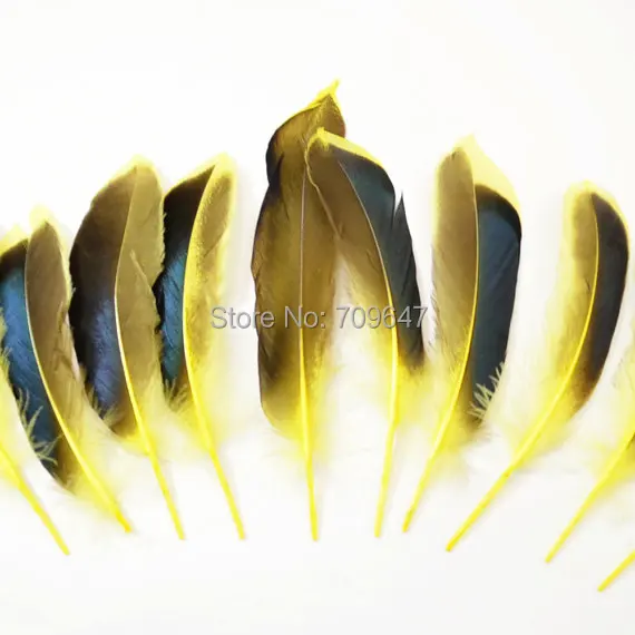 Feather top!100pcs/Lot 8-12cm Yellow Mallard Duck Wing Feathers, Mallard Feathers, Iridescent blue Wings