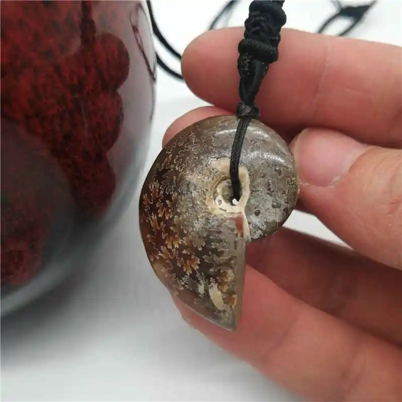 Beautiful Natural Stone Ammonite  Seashell Snail Pendants Ocean Reliquiae Conch Animal Necklaces Statement Men Jewellery