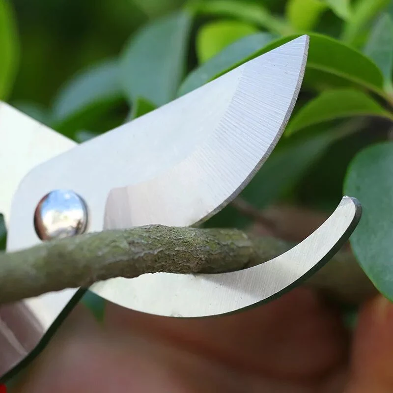 Cesoie da giardino Strumento Bonsai Taglio Forbici Potatori Fiore Cutter Strumenti Pianta Trimmer Ramo Potatura Cesoie Pruner di Impianto