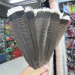 10-100 Pcs high quality natural Eagle bird feathers 25-30cm Selected Prime Quality Eagle feathers diy jewelry decoration