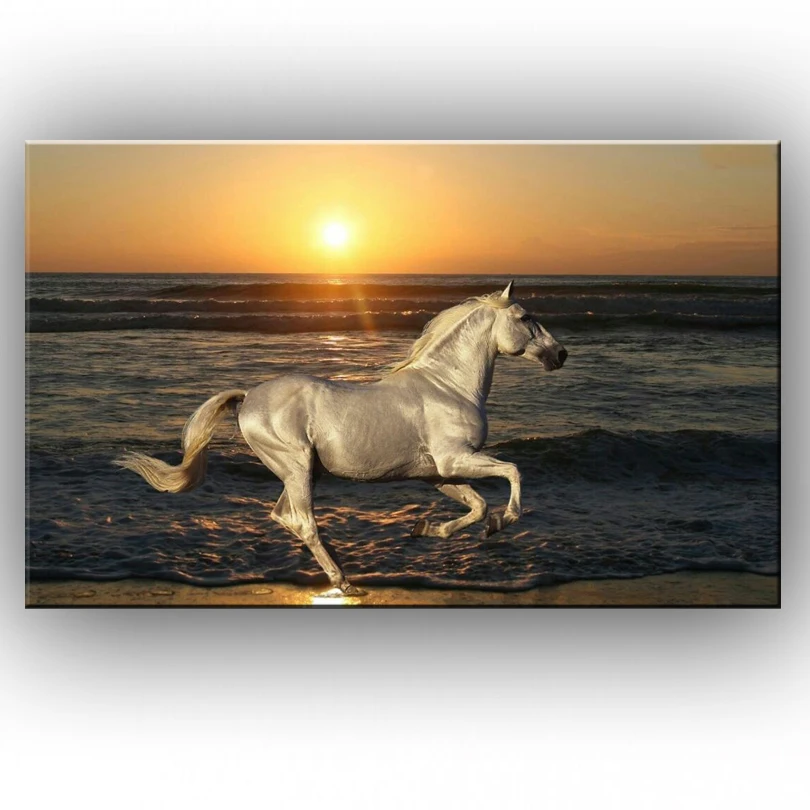 NEW 100% hand-painted  The sunshine on the beach a horse  Oil Painting On Canvas Wall  Art Decoration sitting room 151231168