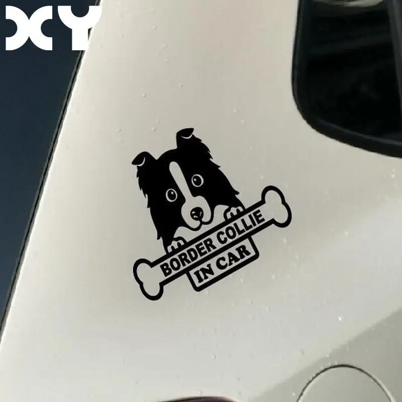 Border Collie Dog Sticker for Car Stickers And Vinyl Decals Laptop Sticker Decal Motorcycle Skateboard Funny Vinyl Stickers