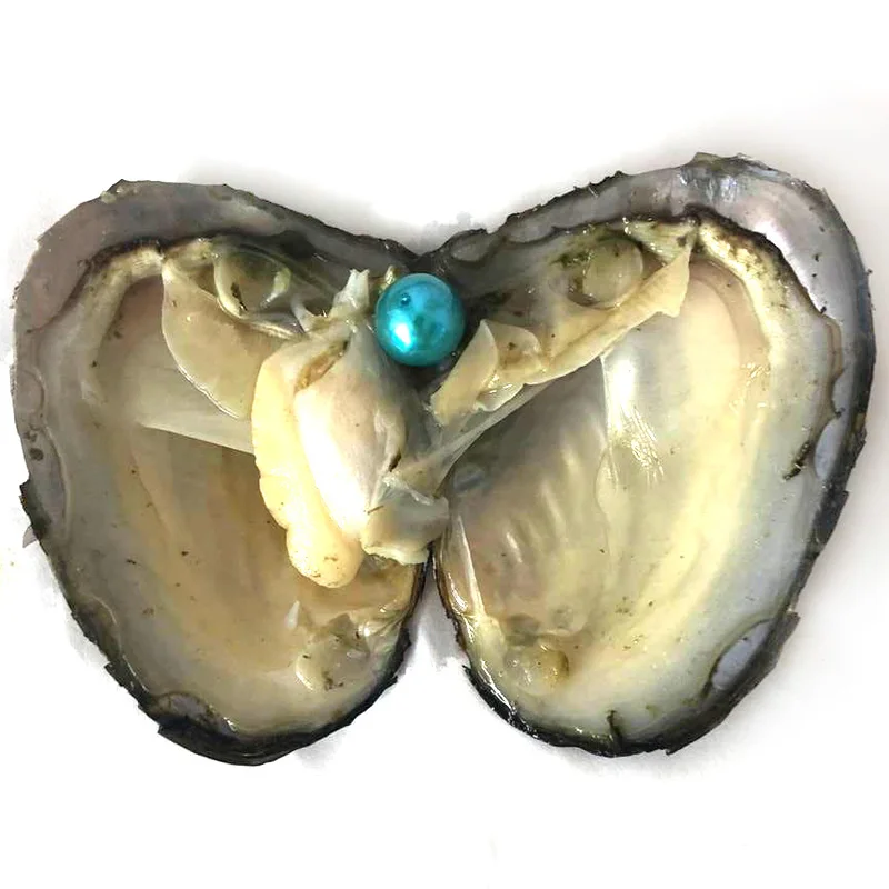 50pcs Vacuum Packed Oyster with Single Yellow 9-10mm Natural Edison Pearl