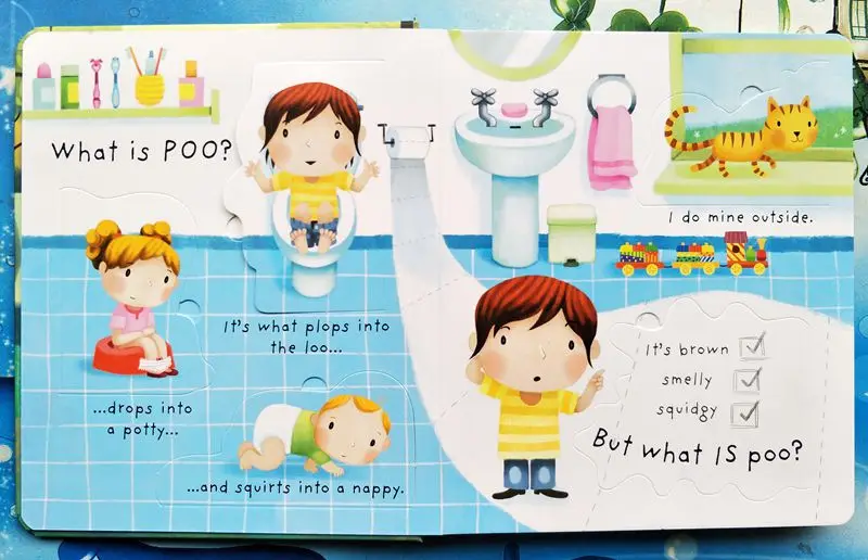 3D Lift The Flap Very First Questions And Answers What Is Poo Flip Picture Board Book Kids Children Early Education