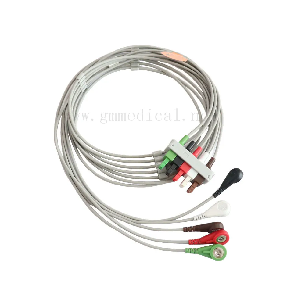 

Compatible with Philips 5-Lead ECG leadwires for Patient Monitor Machine,AHA,snap. CE/ISO13485 certificate aprove