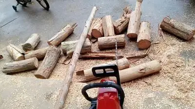 Beliebte Kettensäge Kleine Multi-zweck Haushalt Schneiden Sah Garten Sah Benzin Benzin Power Kettensäge Cutter