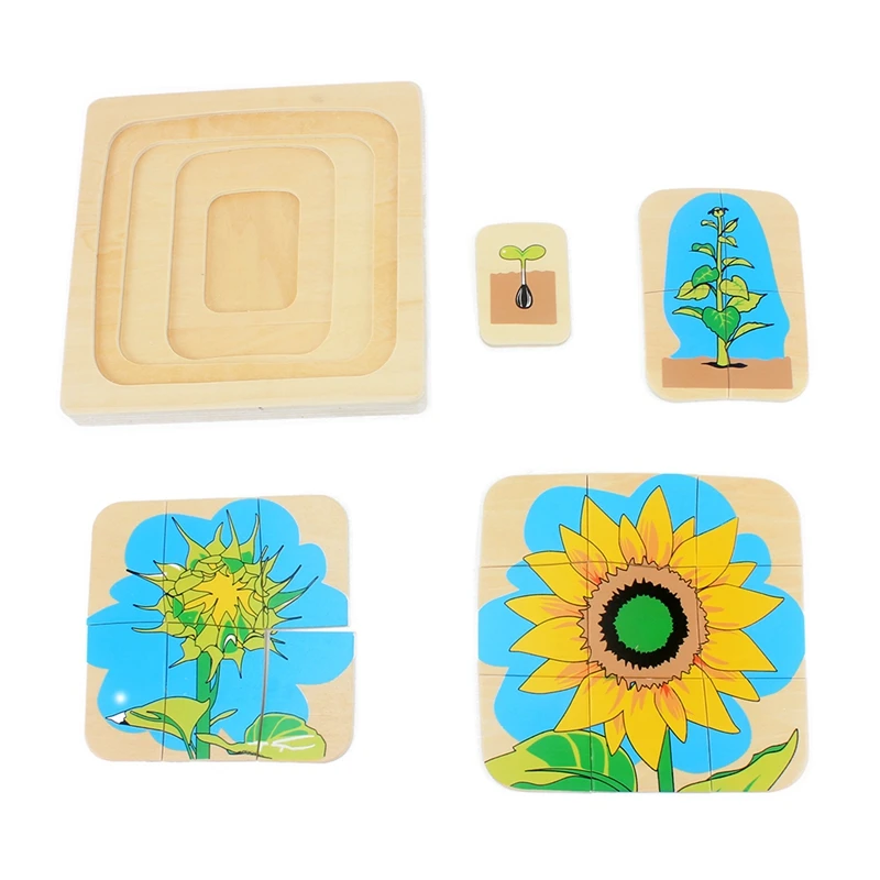 Montessori Materials Wood Toys Kids Baby Toy Infant Toddler Life Cycle of Sunflower Puzzles Jingsaw Preschool Brinquedos Juguets