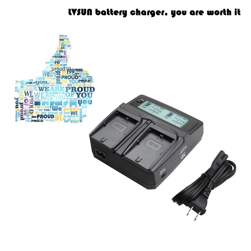 LVSUN BP 808 827 BP-808 BP-819 BP-807 BP-828 BP-827 BP-827D Camera Battery Charger for Canon FS100 FS21 M31 M300 HF20 HF21 HFS11