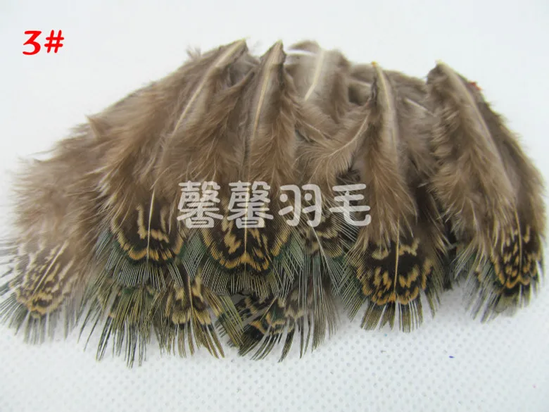 Size 5-8cm 50pcs/lot Selected Prime Quality Natural Green Almonds Ringneck Pheasant Plumage Feathers